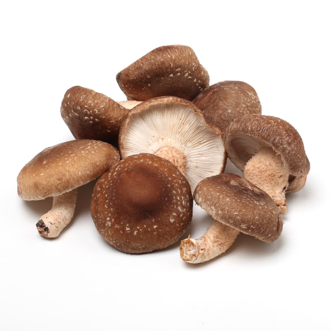 Shiitake